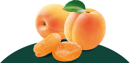 Yigitler Dried Apricot