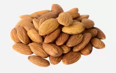 Apricot Kernel Apricot Kernel